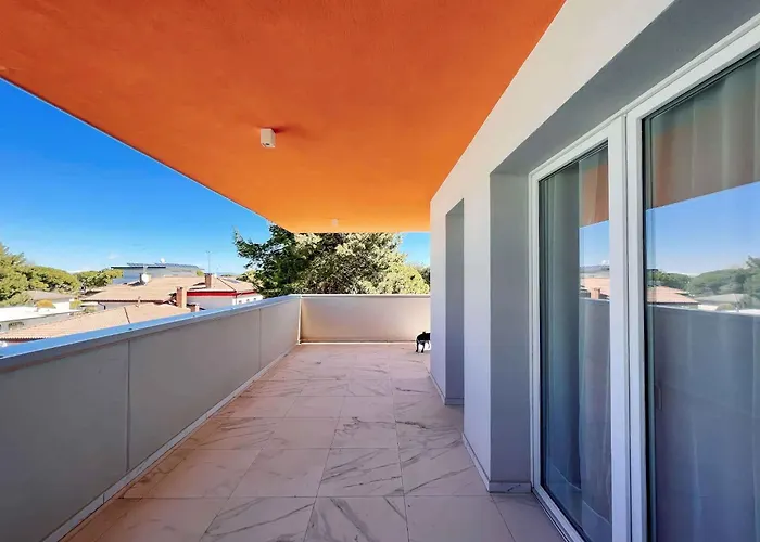 In San Michele Al Tagliamento 45646